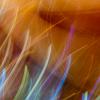Dancing Lights 2